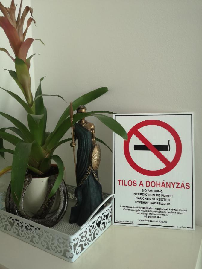 MosonmagyaróvárCsillag Haz公寓 外观 照片